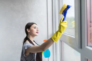 Interior vs Exterior Window Cleaning: Key Differences