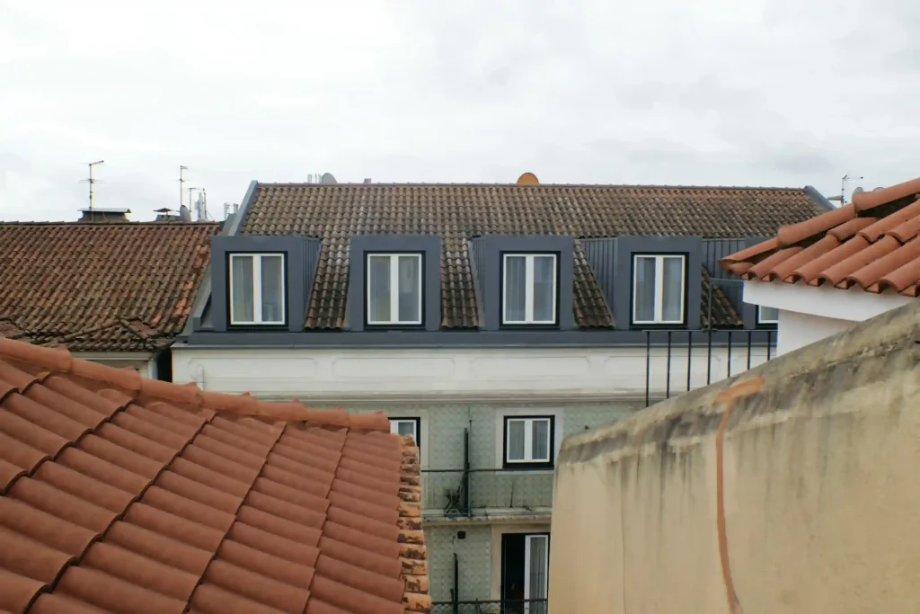 Regular Roof Cleaning
